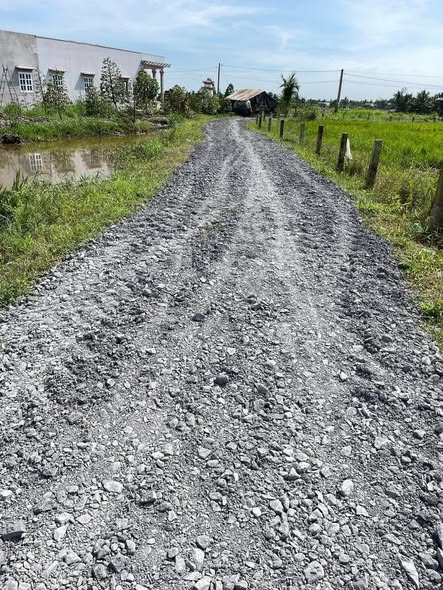 Đất nền Đức Tân - Tân Trụ, 500m² chỉ 400 triệu - Cơ hội đầu tư tuyệt vời!