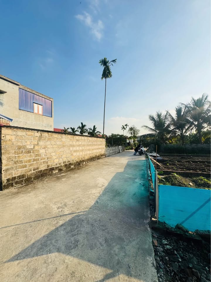 Đất liền kề tại Đại Bản, Hồng Bàng, Hải Phòng - Diện tích 50m², giá chỉ từ 570 triệu!