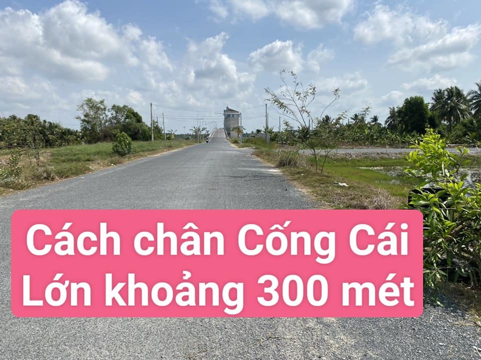 Bán đất mặt tiền đường Ven Sông Cái Lớn, 6.462,6m² chỉ 400 triệu - Cơ hội đầu tư hấp dẫn!