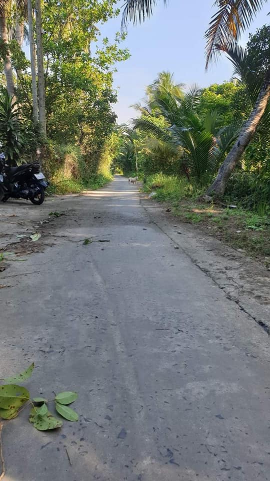 Đất thổ cư Tân Thạch Châu Thành Bến Tre 4565m² giá 2.7 tỷ - Cơ hội đầu tư tuyệt vời!