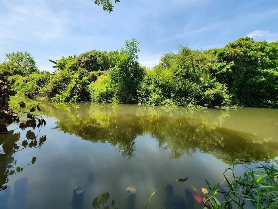 Bán gấp vườn măng cụt 5888m² tại Thủ Dầu Một - Giá chỉ 14,7 tỷ VND!