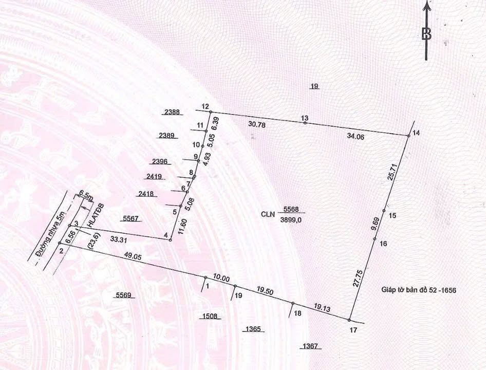 Đất farm 3900m² đường 2/9, TP Bến Cát - Vị trí đắc địa, sẵn sàng đầu tư!