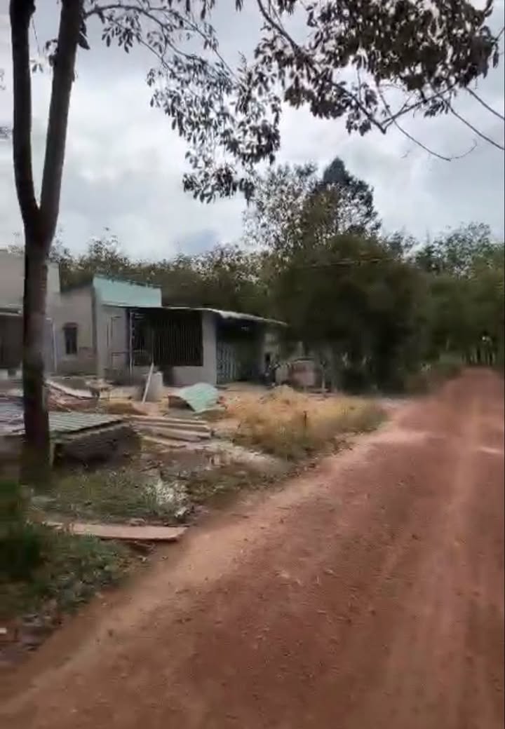 Đất nền Long Nguyên Bàu Bàng 220m² giá thỏa thuận - Đầu tư sinh lời cao!