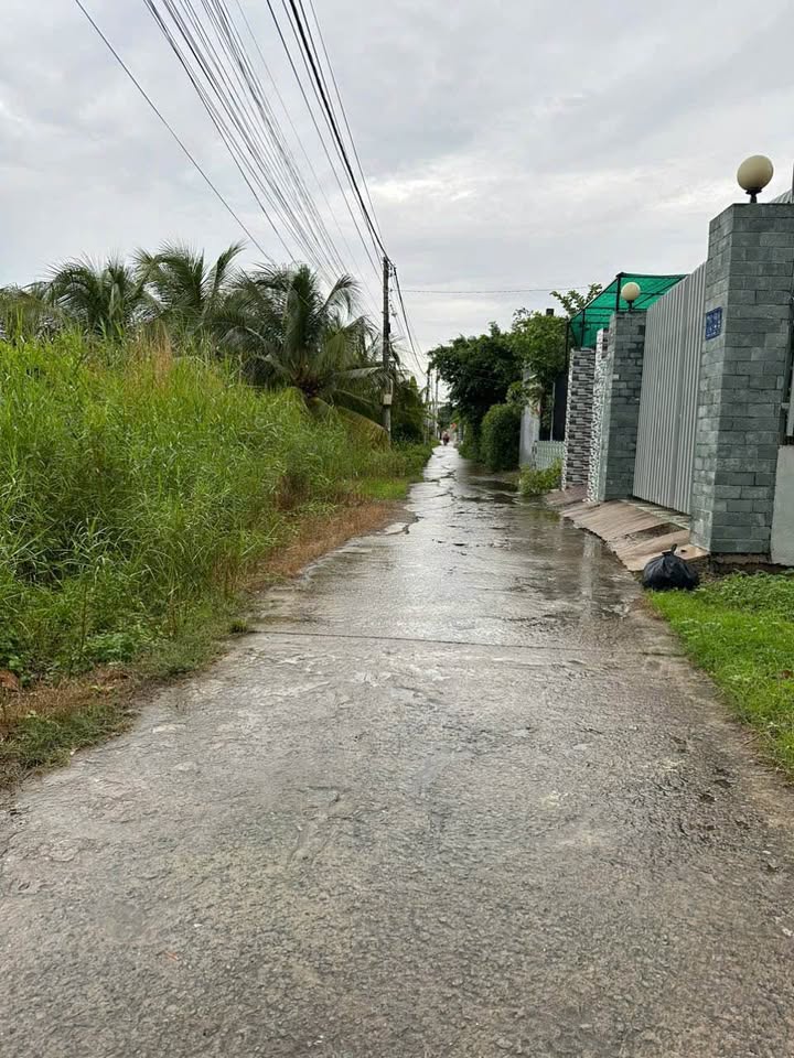 Đất nền hẻm 368 Châu Thị Kim, phường 7, Tân An 175.41m² - Chính chủ bán gấp!