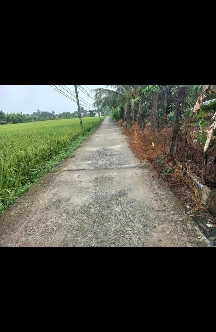 Đất thổ cư 1 công tại Bình Trinh Đông, Tân Trụ, Long An chỉ 3.3 tỷ - Đầu tư sinh lời tuyệt vời!