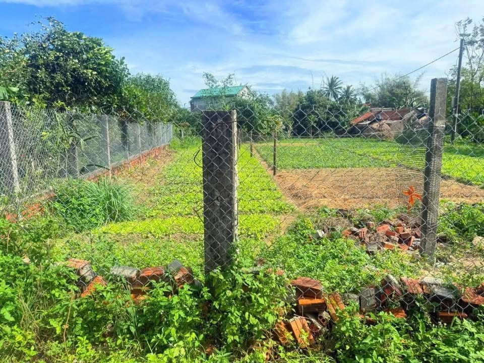 Đất Tịnh Khê Quảng Ngãi 140.4m² giá 600 triệu - Sổ hồng đầy đủ, móc nối giao thông thuận lợi!