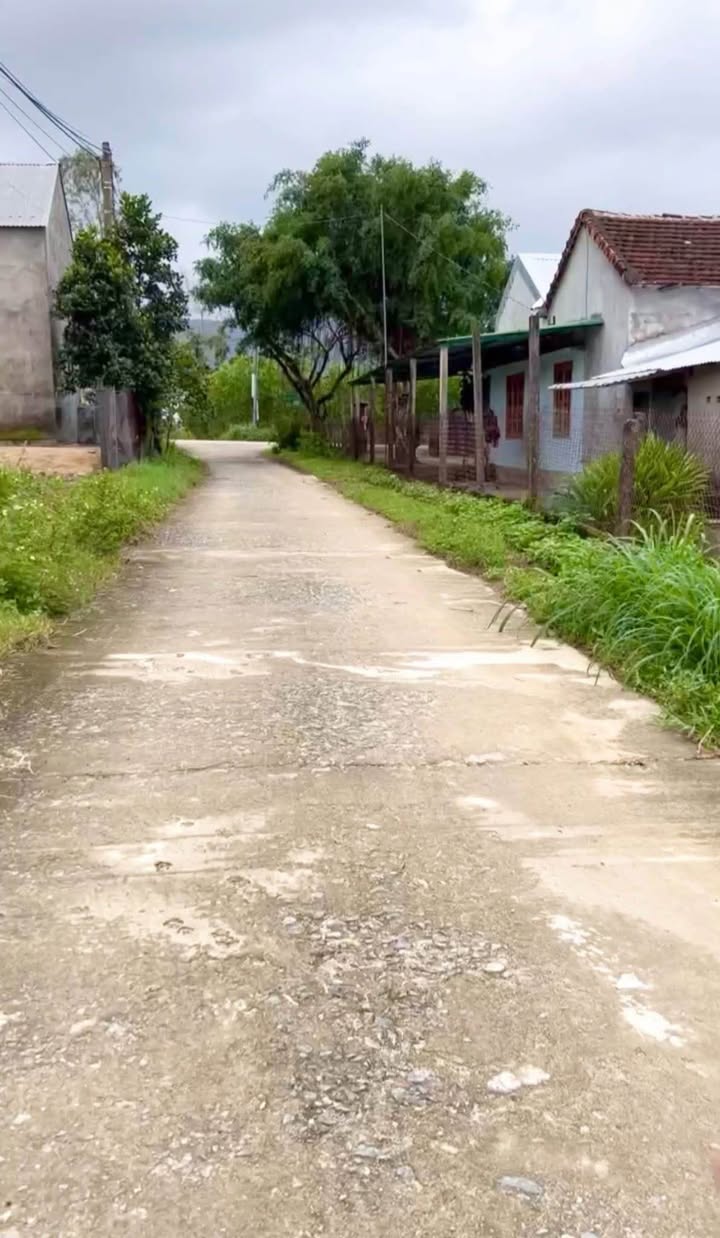 Đất nền Nghĩa Thuận 100m² giá chỉ 200 triệu - Đường ô tô thông thoáng!