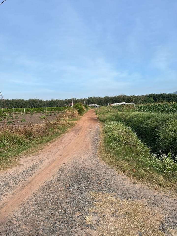 Đất nền Ninh Thạnh 4.6 công giá chỉ 2.3 tỷ - Cơ hội đầu tư tuyệt vời!