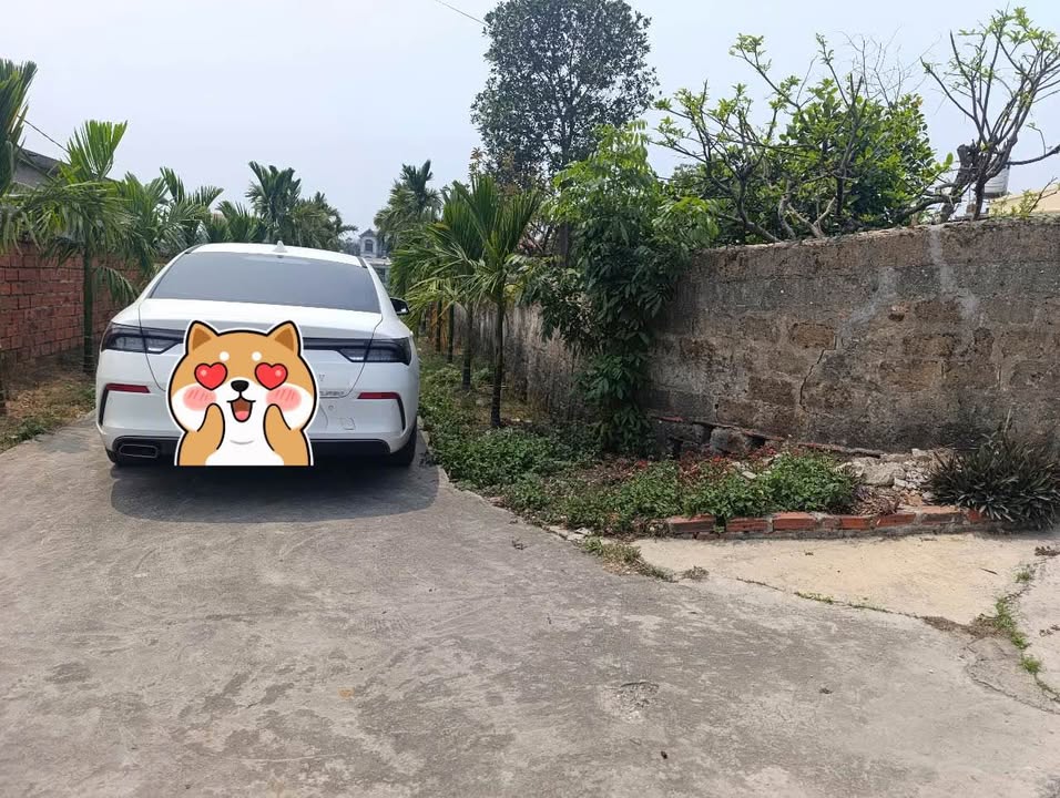 Đất nền Phúc Thị, Đông Triều 122m² giá 500 triệu - Ô góc 2 mặt tiền