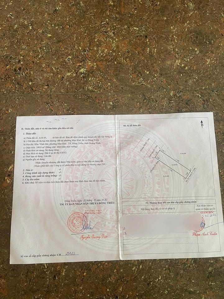 Đất nền KĐT Tân Việt Bắc Đông Triều 100m² giá 1.5 tỷ - Cơ hội đầu tư hấp dẫn!