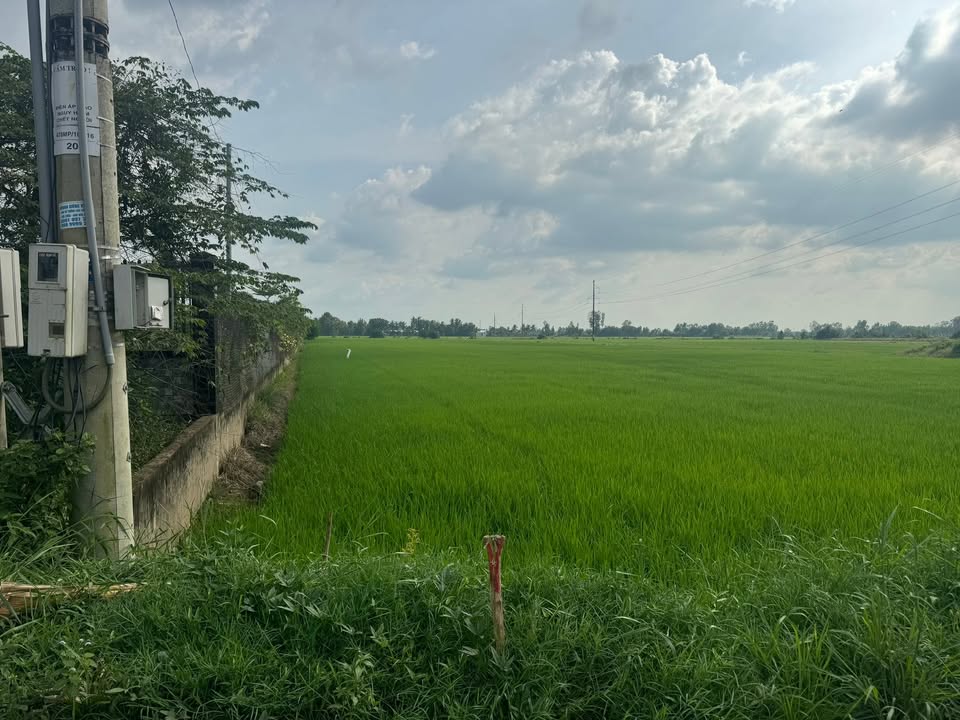 Đất Mặt Tiền Lâm Quang Ky Châu Thành 18.000m² chỉ 1.44 tỷ - Cơ hội đầu tư vàng!