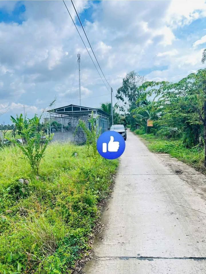 Đất nền Thạnh Lộc, Châu Thành, Kiên Giang 200m² giá 390 triệu - Cơ hội đầu tư hấp dẫn!