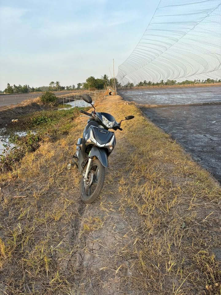 Đất ruộng 5900m² tại ấp Hòa Ninh, Thạnh Lộc, An Giang - Giá chỉ 1.003 tỷ