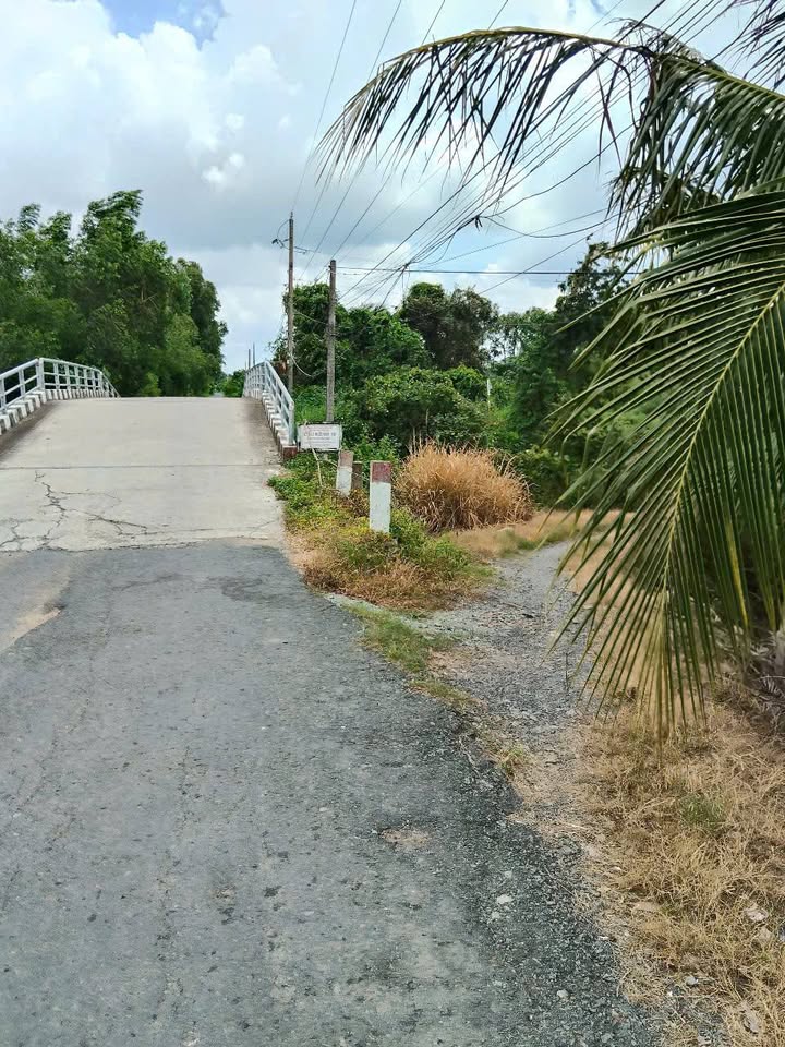 Đất nông nghiệp 2000m² tại Ấp Phước Tú, Long An giá 2.5 tỷ - Tiềm năng phát triển lớn!