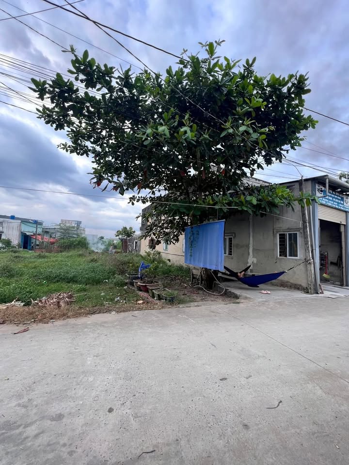 Đất nền thổ cư Mỹ Hạnh Nam 125m² giá chỉ 1.35 tỷ - Đầu tư sinh lời lý tưởng!