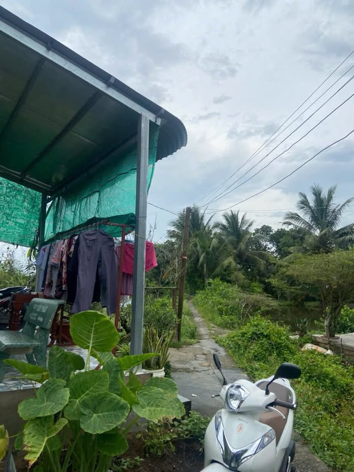 Đất thổ cư 100m² tại Mỹ Bình, Tân Trụ - Giá chỉ 560 triệu, bớt lộc cho khách thiện chí!