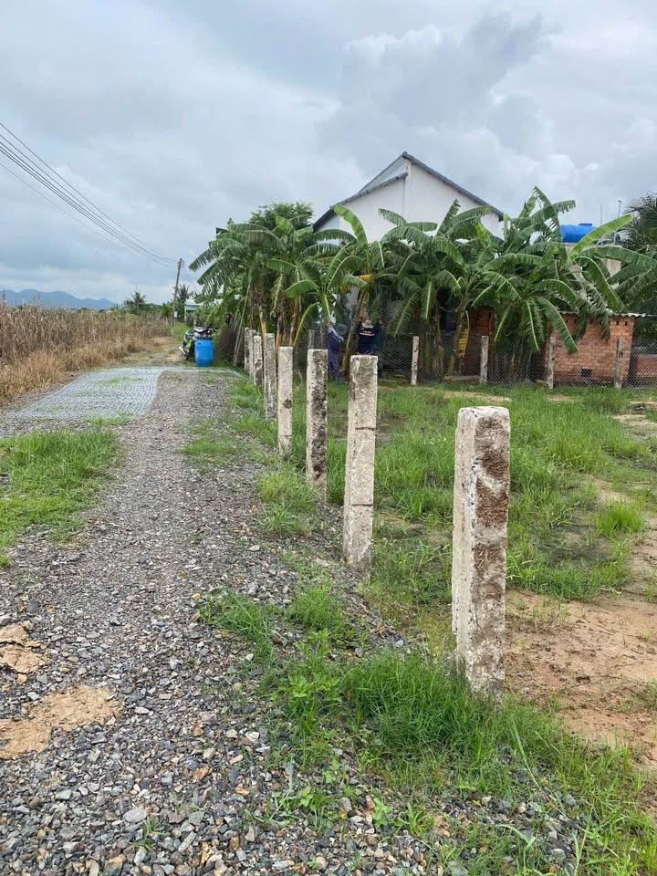 Đất vườn thôn 5, Hàm Liêm 2000m² giá 1.1 tỷ - Mô hình nghỉ dưỡng lý tưởng!