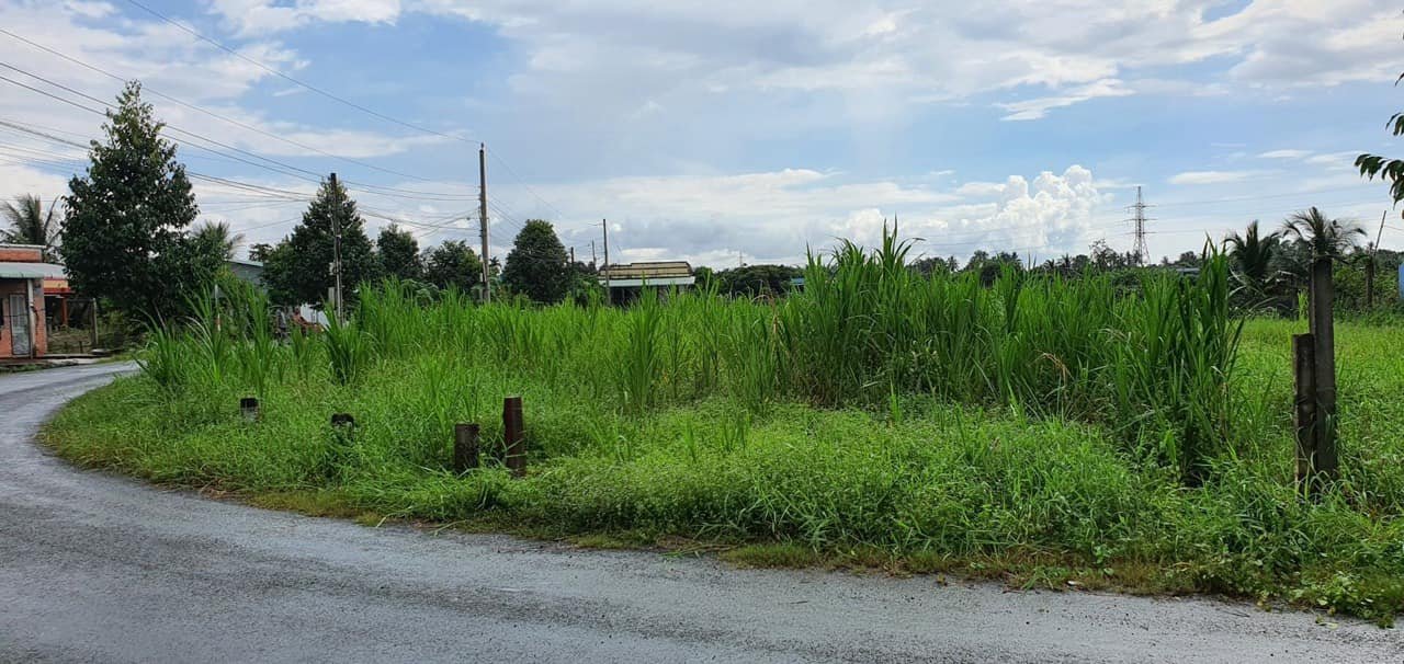 Đất 2 mặt tiền đường Lê Văn Càng, xã An Vĩnh Ngãi, 466,9m² - Chính chủ bán gấp!