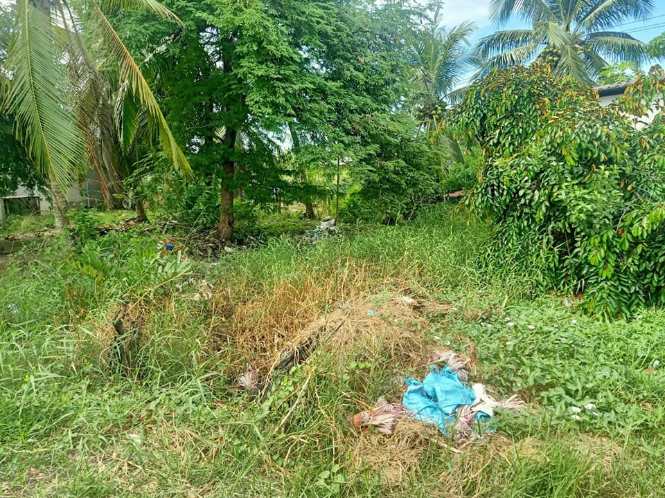 Đất thổ cư Vĩnh Công, Châu Thành, Long An 300m² - Giá thỏa thuận hấp dẫn!