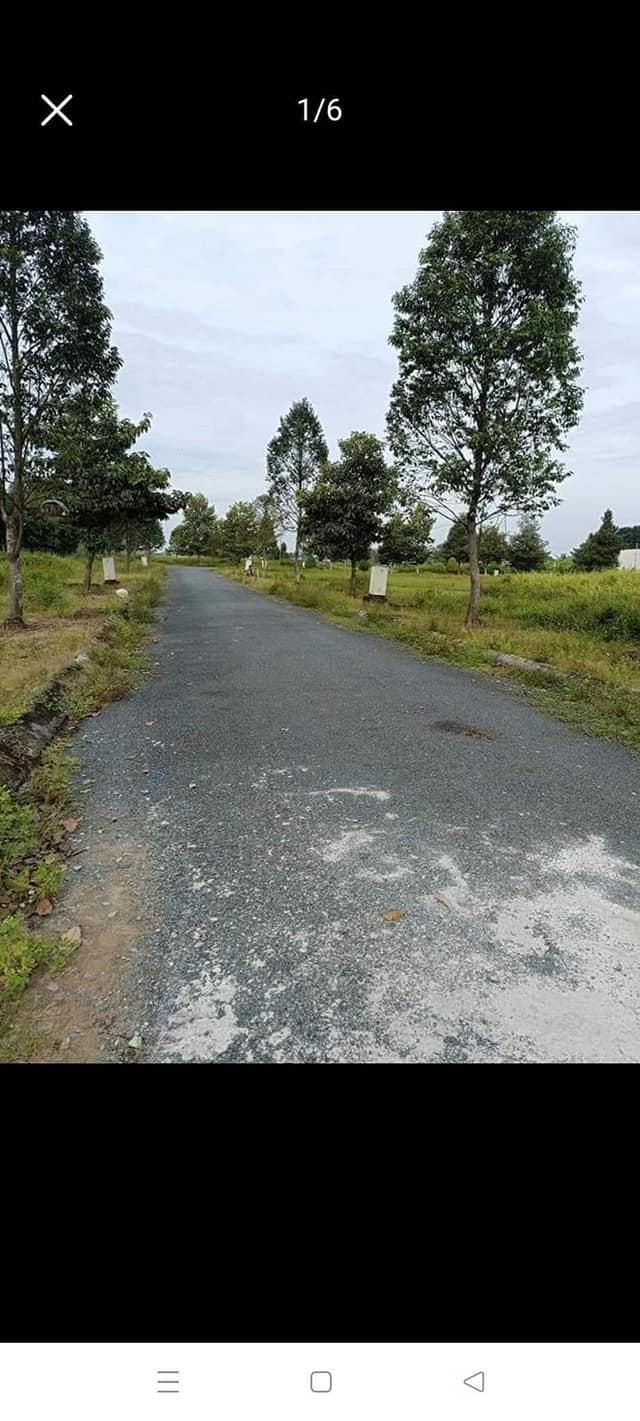 Đất nền KDC Việt Hóa, P6, Tân An 104.5m² giá chỉ 1.2 tỷ - Đường nhựa thoáng rộng!