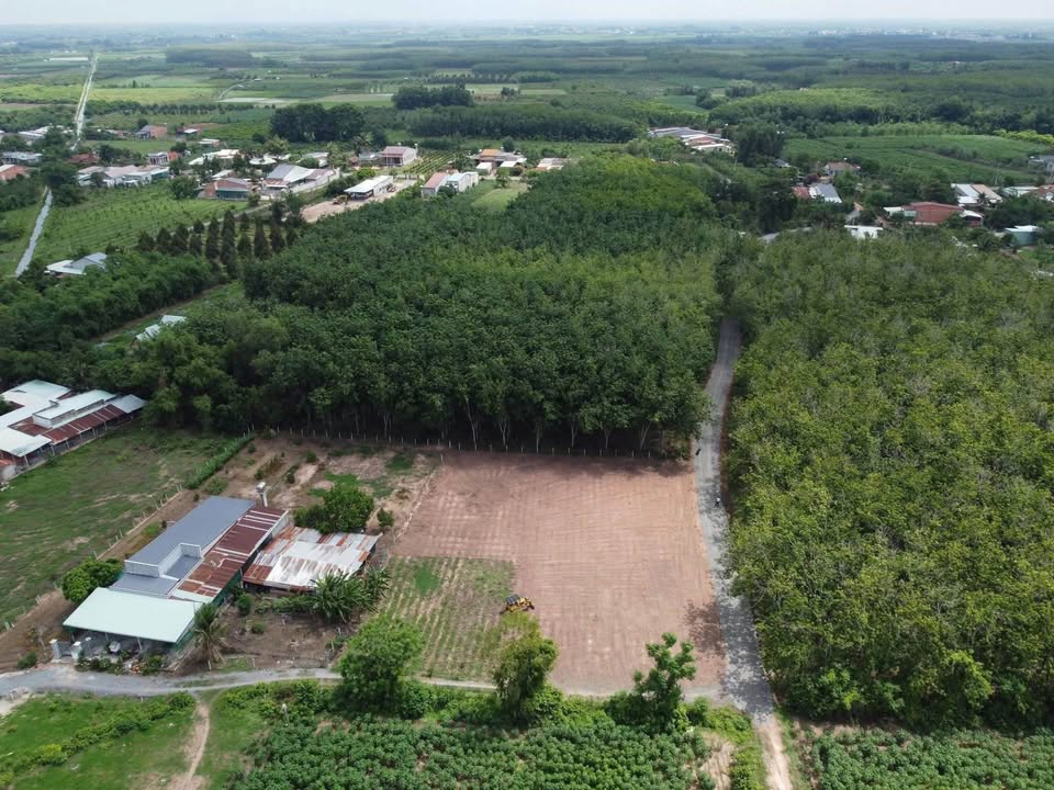 Đất nền chính chủ Gò Dầu Tây Ninh 230m² giá 490 triệu - Cơ hội đầu tư lý tưởng!