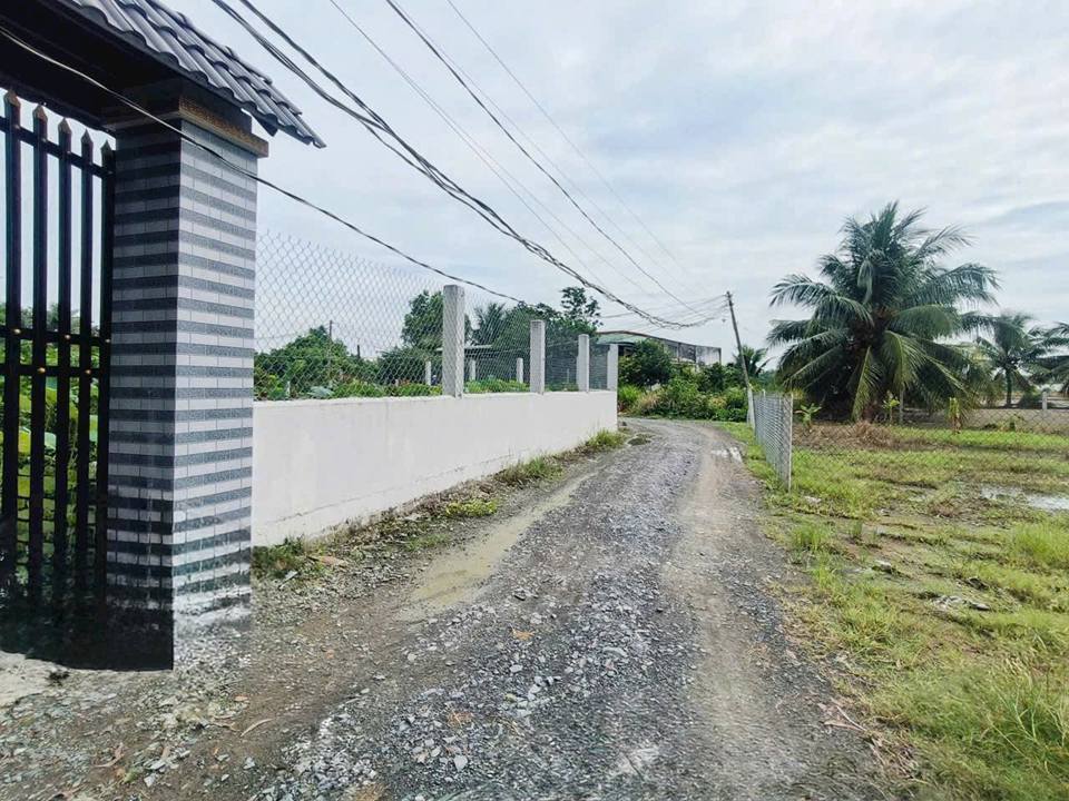 Đất thổ cư ấp 4 Tân Bửu, Bến Lức 130m² giá 1.25 tỷ - Cơ hội đầu tư hấp dẫn!