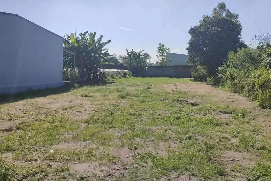 Bán đất mặt tiền đường Đặng Thị Giọt, Tân Phú Trung, Củ Chi 1.099m² - Đầu tư sinh lời!