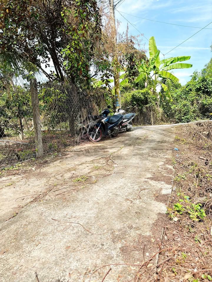 Đất thổ cư 127m² xã Phước Lâm, Cần Giuộc, Long An - Giá chỉ 850 triệu, thương lượng!