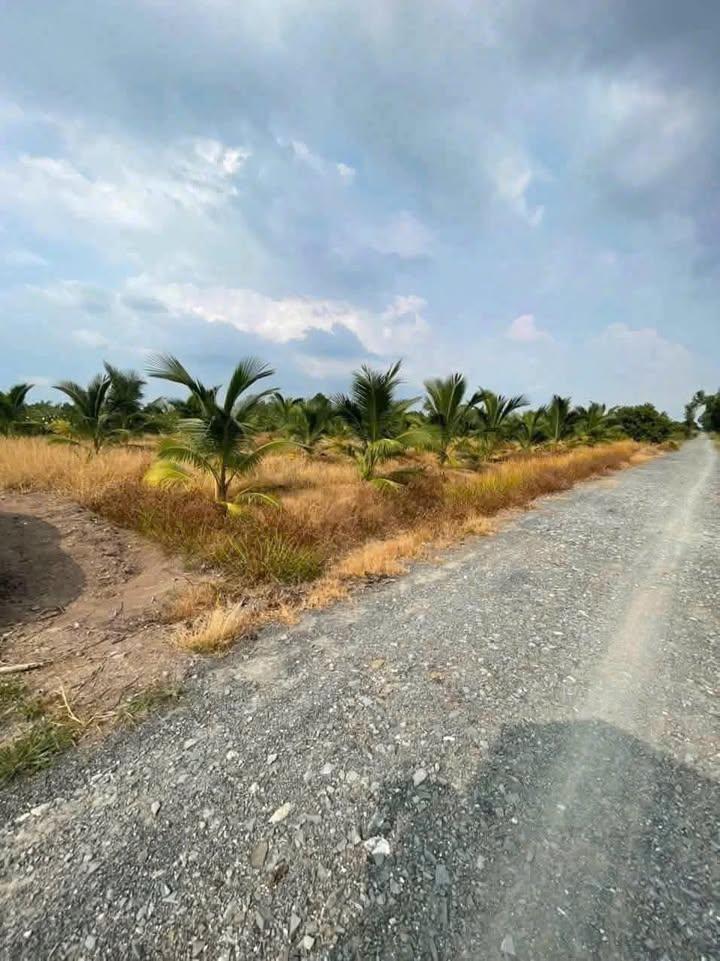 Đất nền mặt tiền đường Năm Liệt, Thạnh Hoà, 600m² giá 860 triệu - Đầu tư sinh lời ngay!