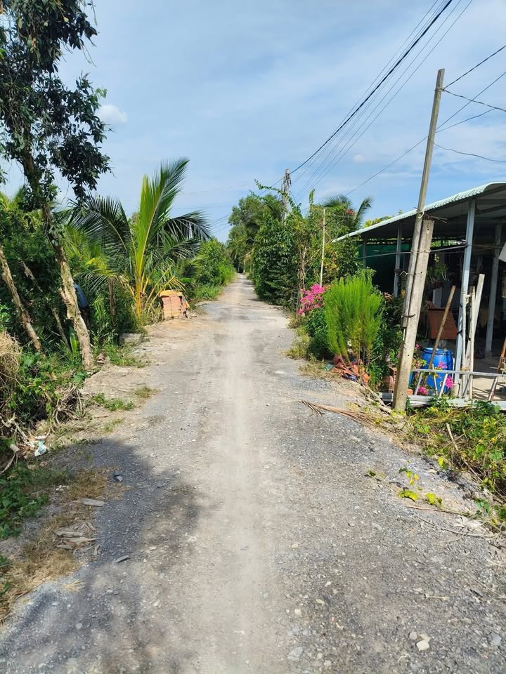 Đất vườn 1000m² Ấp 8, Lương Hòa chỉ 1.399 tỷ - Gần chợ và trường học!