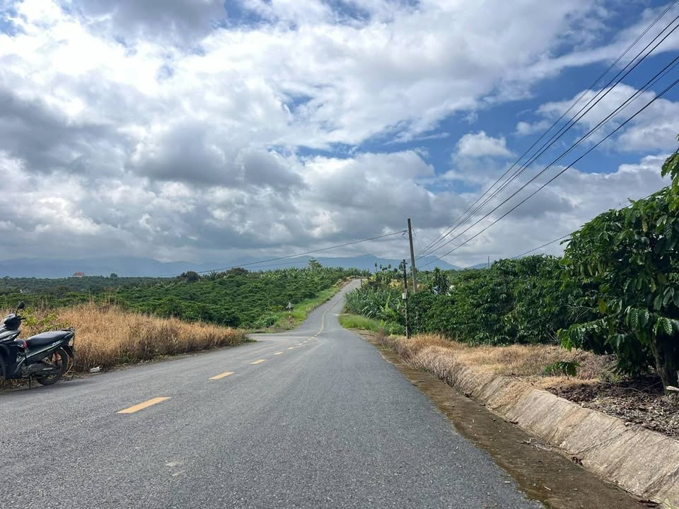 Đất thổ cư 1 sào 4 tại Thôn 2, Hòa Bắc - Giá 1.5 tỷ, tiện phân lô!