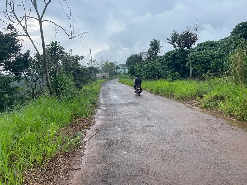 Đất nền Tản Đà Bảo Lộc 750m² giá 1.65 tỷ - Thích hợp nghỉ dưỡng