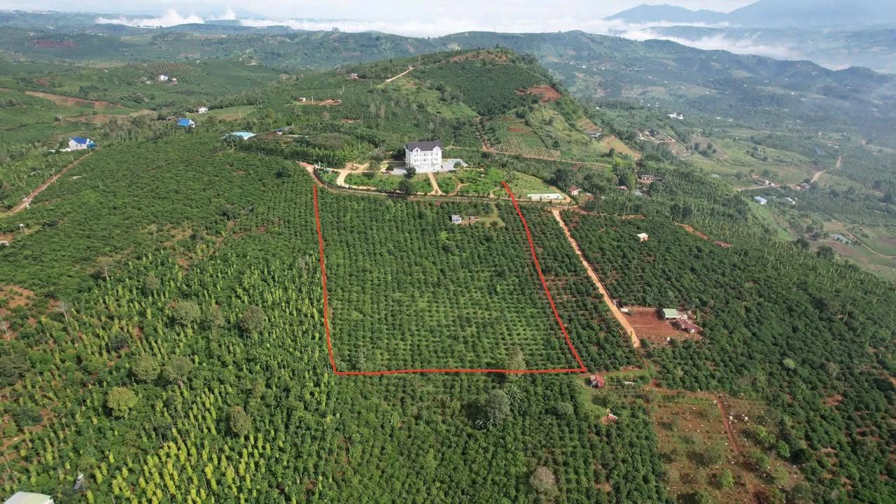 Đất Tân Nghĩa 1,2ha giá 1,2 tỷ - Tiềm năng nghỉ dưỡng gần Sài Gòn!