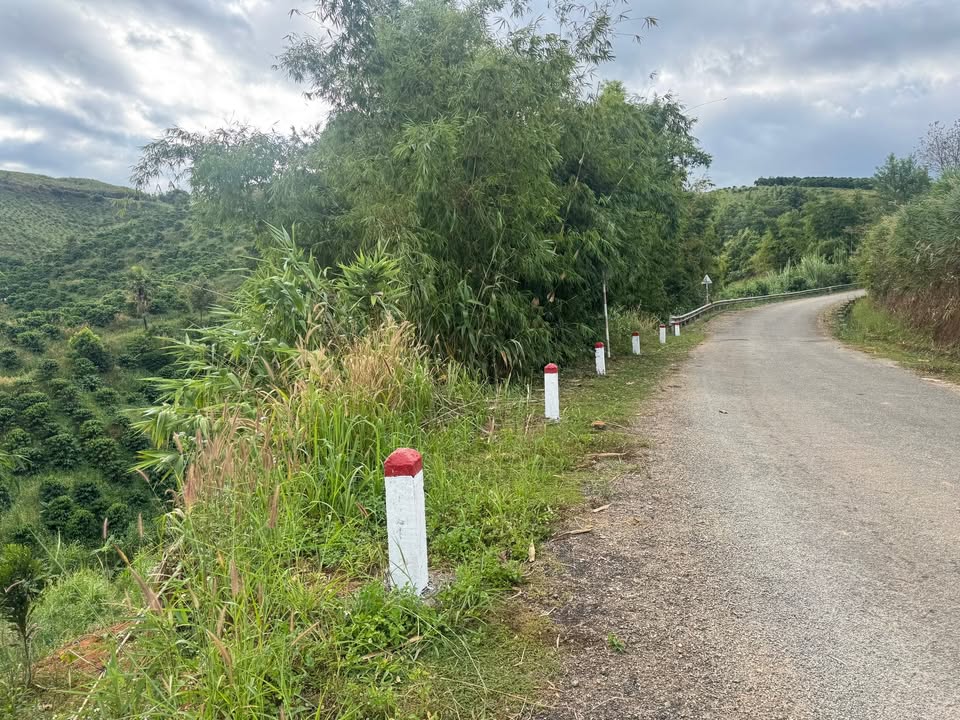 Đất nông nghiệp 1ha mặt đường nhựa Bờ Y, Ngọc Hồi - Giá chỉ 600 triệu!