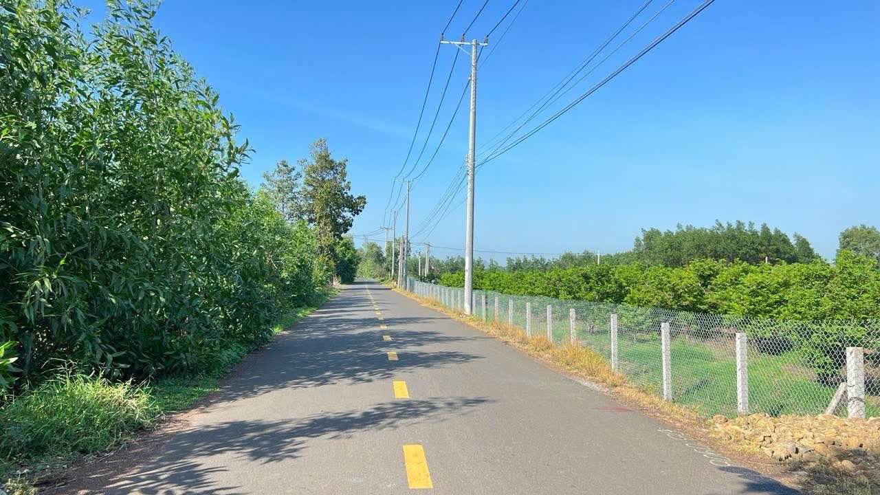 Đất nền Đất Đỏ 1441m² giá 2.99 tỷ - Tiềm năng kinh doanh lớn!