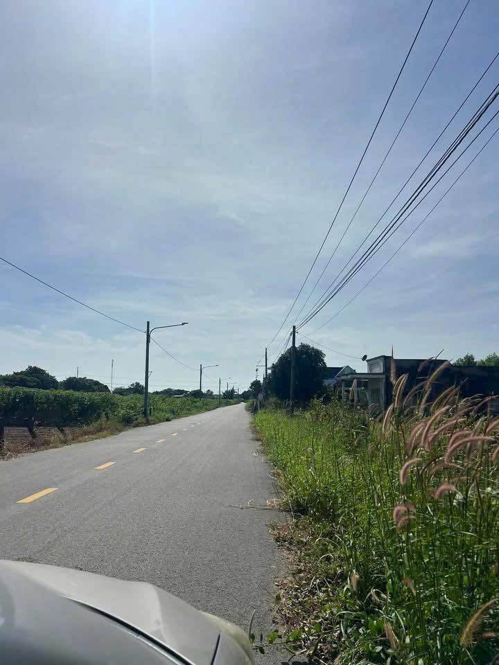 Đất nền Quốc lộ 55, Đất Đỏ 125m² giá 670 triệu - Sổ đỏ chính chủ, giao ngay!