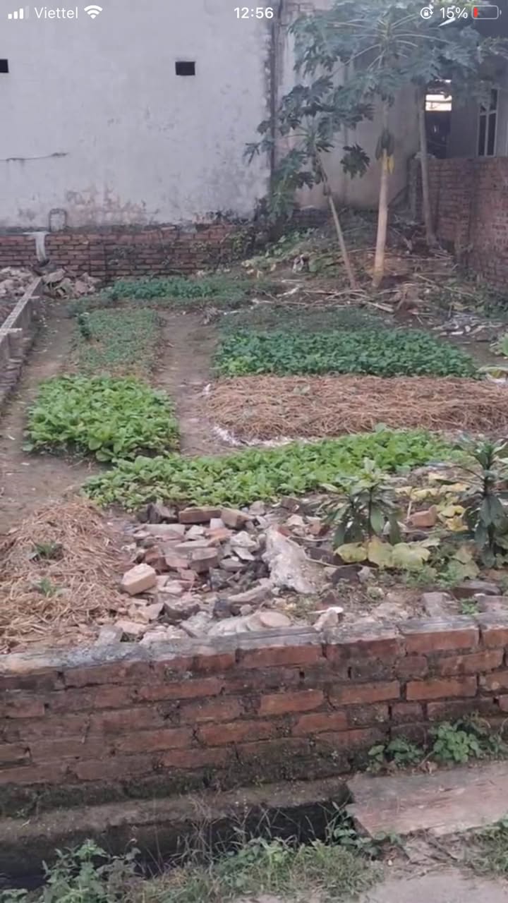 Đất nền phường Ninh Xá, 48.6m² giá chỉ 1.4 tỷ - Cơ hội đầu tư tuyệt vời!