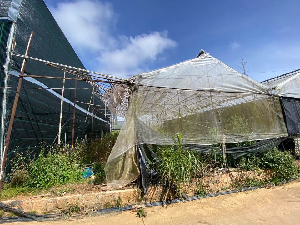 Đất nền chính chủ tại Lâm Viên, Đà Lạt - 82m² giá 950 triệu - Cơ hội đầu tư tốt!