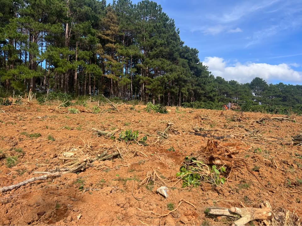 Đất thổ cư Mê Linh 1.000m² giá chỉ 2 tỷ - Mặt tiền đường rộng, view đẹp!