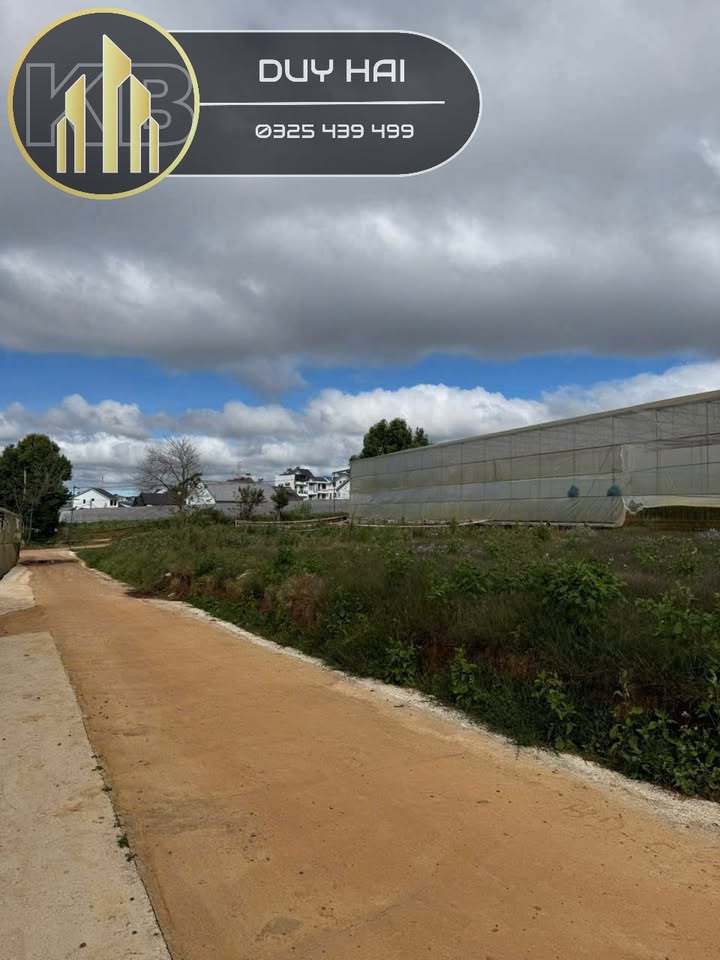 Đất nền Thái Phiên, phường Lâm Viên, Đà Lạt 50m² giá chỉ 1.3 tỷ - Cơ hội đầu tư tuyệt vời!