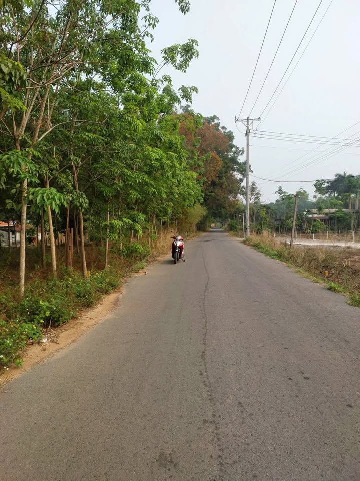 Đất nền đường Chánh Phú Hòa 200m² giá 1.3 tỷ - Sổ đỏ chính chủ!