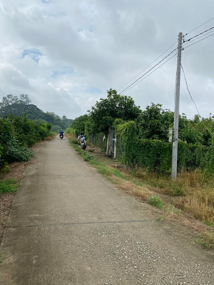 Đất trồng lúa An Long 2766m² - Mặt tiền lộ Đal, giá thỏa thuận!