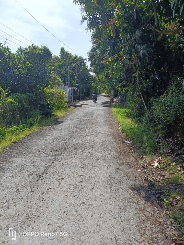 Đất nền phường Cao Lãnh, Đồng Tháp 86.9m² - Vị trí gần chợ, trường học