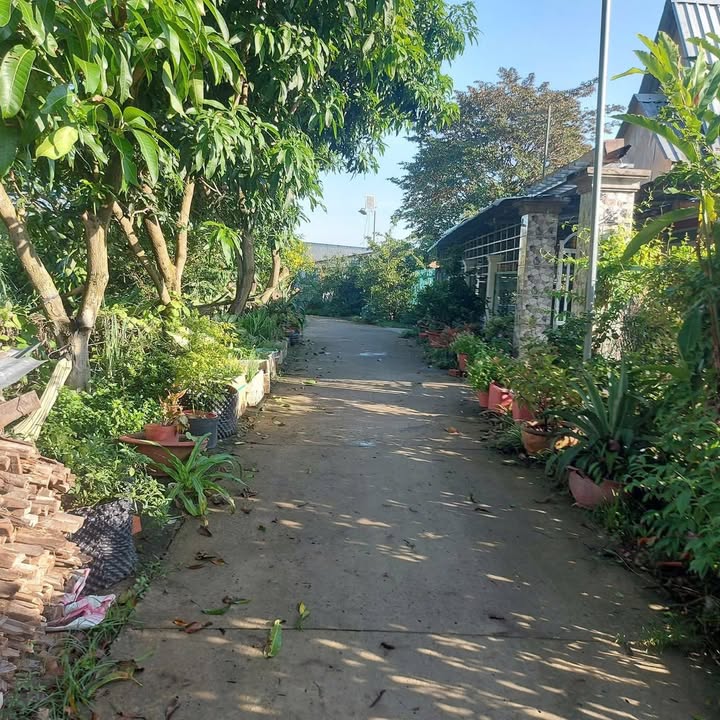 Đất nền Phường Mỹ Ngãi 150m² giá 550 triệu - Sổ hồng riêng, dân cư đông đúc!