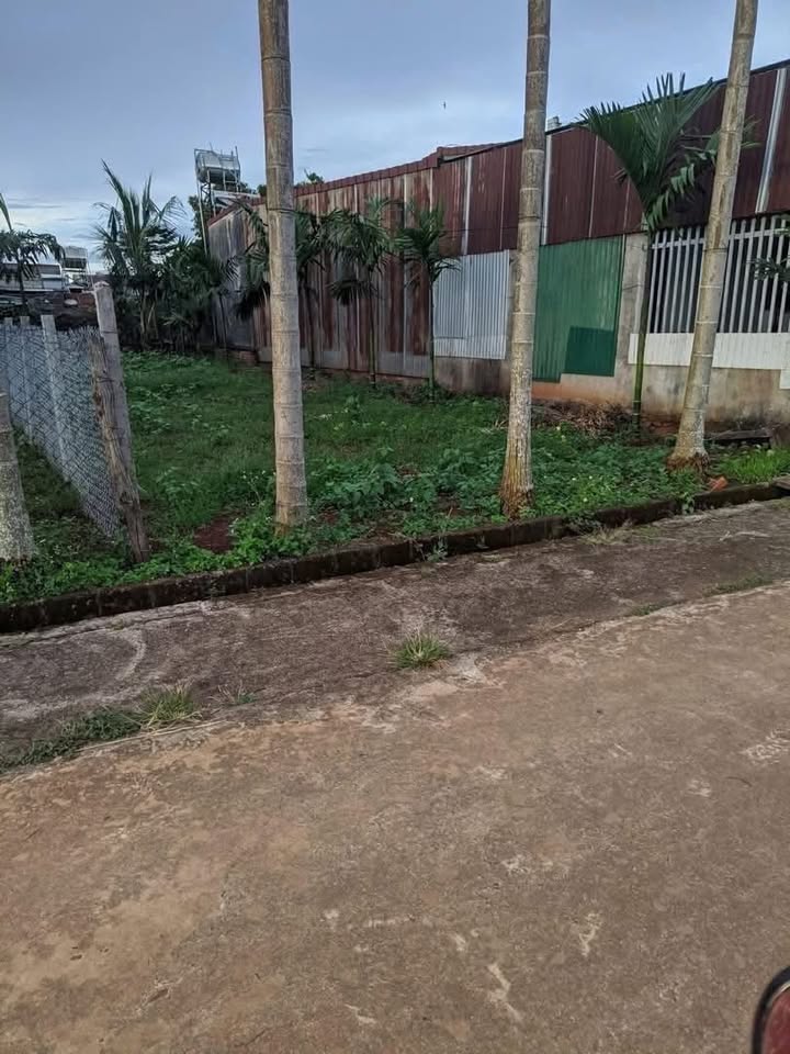 Đất nền đường Ngô Gia Tự, Cư M'gar, 182m² giá 1.4 tỷ - Cơ hội đầu tư tuyệt vời!