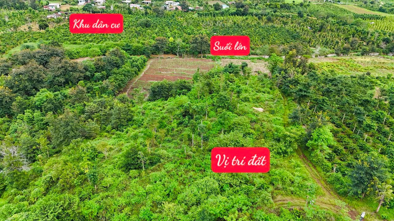 Đất nền Ea Blang, Buôn Hồ 6214m² giá 689 triệu - Đầu tư sinh lời ngay!