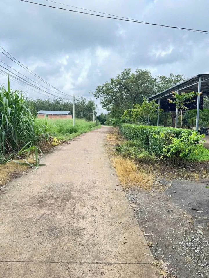 Đất nền Tân Phước, Đồng Phú 1020m² giá chỉ 800 triệu - Cơ hội đầu tư hấp dẫn!