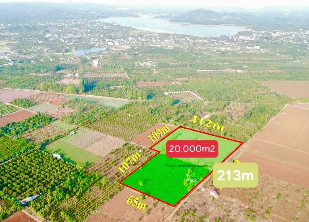 Đất nông nghiệp 2 Héc-ta tại phường Ea Kao, Buôn Ma Thuột - Giá chỉ 11.172 tỷ!