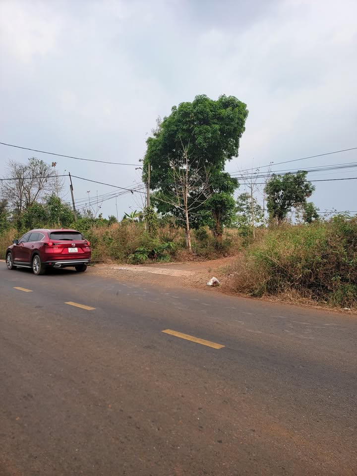 Đất nền Quốc lộ 29, xã Ea Kiết, huyện Cư M'gar, Đắk Lắk - Diện tích 8.500m², giá 12.5 tỷ, đầu tư sinh lời!