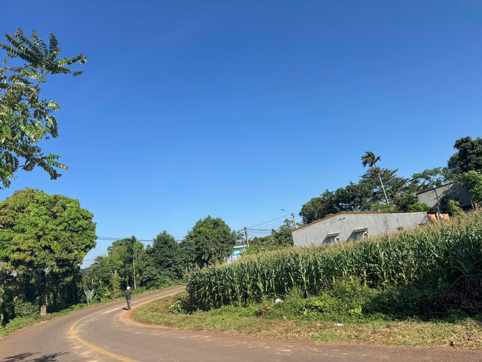 Đất nền lô góc 2 mặt tiền Ea Kao - 325.6m² chỉ 2 tỷ - Đầu tư sinh lời cao!